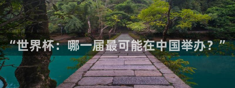 世界杯直播免费观看:“世界杯:哪一届最可能在中国举办?”
