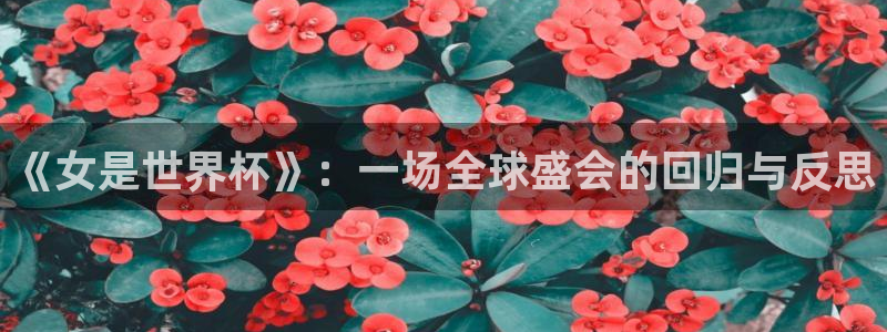 2026世界杯直播免费观看：《女是世界杯》：一场全球盛会的回归与反思