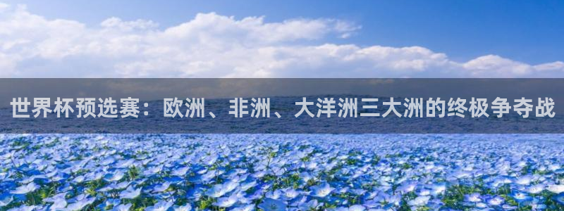 足球世界杯时间：世界杯预选赛：欧洲、非洲、大洋洲三大洲的终极争夺战
