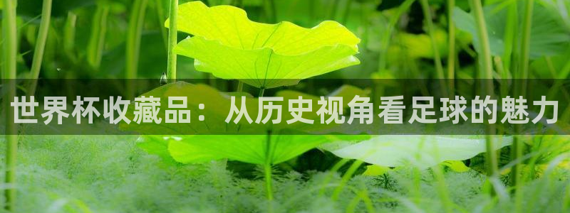 世界杯48支球队赛制：世界杯收藏品：从历史视角看足球的魅力