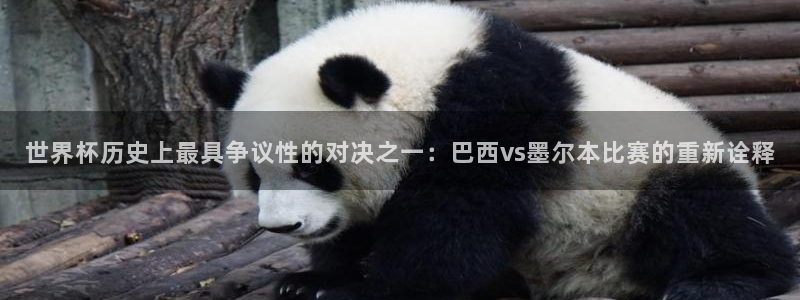 足球世预赛:世界杯历史上最具争议性的对决之一:巴西vs墨尔本比赛的重新诠释