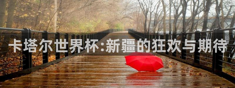 世界杯球队排名：卡塔尔世界杯:新疆的狂欢与期待