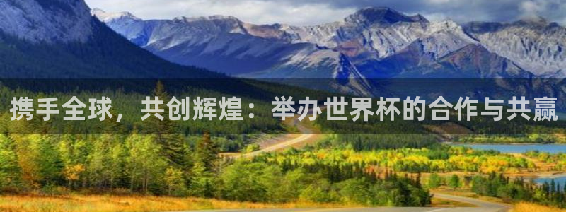 世界杯亚洲区预选赛积分榜：携手全球，共创辉煌：举办世界杯的合作与共赢