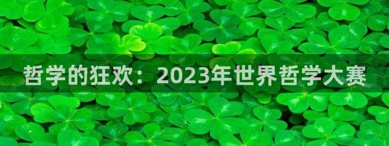 2026世界杯亚洲区预选赛赛程：哲学的狂欢：2023年世界哲学大赛