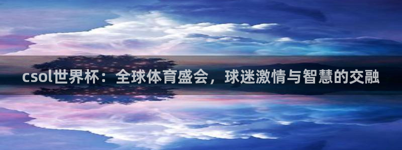世界杯48支球队赛制：csol世界杯：全球体育盛会，球迷激情与智慧的交融