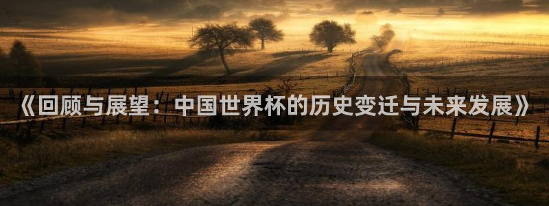2026世界杯足球赛程时间表：《回顾与展望：中国世界杯的历史变迁与未来发展》