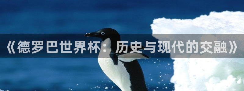 2006年世界杯冠军：《德罗巴世界杯：历史与现代的交融》