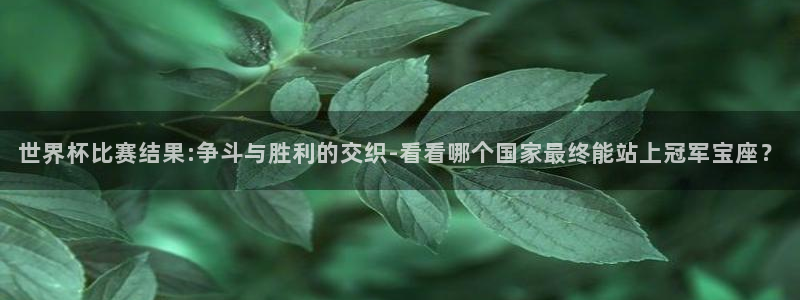 2006年世界杯冠军：世界杯比赛结果:争斗与胜利的交织-看看哪个国家最终能站上冠军宝座？