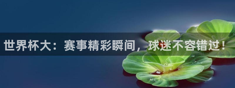 世界杯今年：世界杯大：赛事精彩瞬间，球迷不容错过！