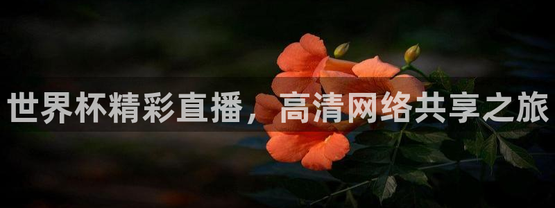 足球世界杯2026：世界杯精彩直播，高清网络共享之旅